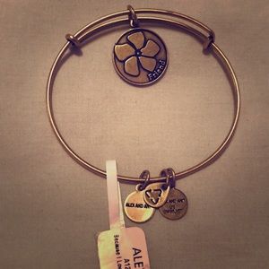 Alex and Ani Friend Bracelet